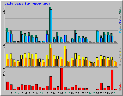 Daily usage for August 2024