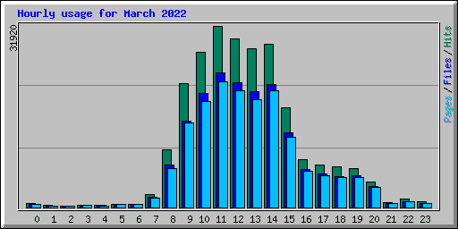 Hourly usage for March 2022