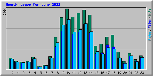 Hourly usage for June 2022