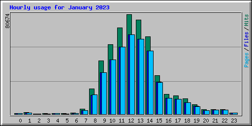 Hourly usage for January 2023