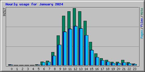 Hourly usage for January 2024