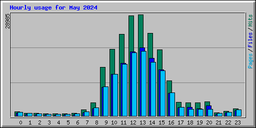 Hourly usage for May 2024
