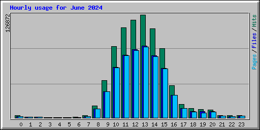 Hourly usage for June 2024