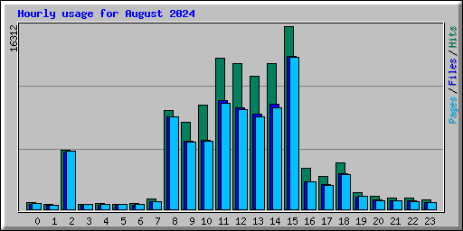 Hourly usage for August 2024