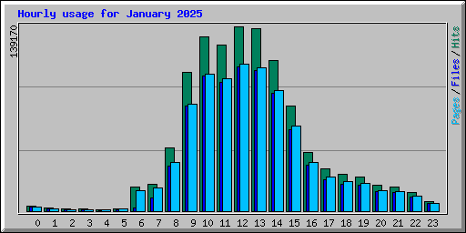 Hourly usage for January 2025