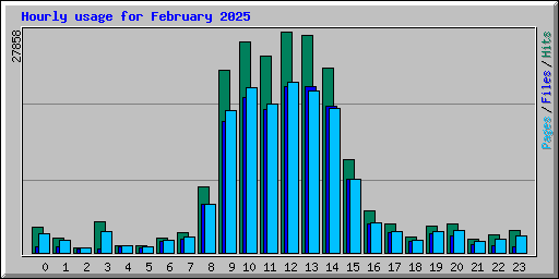 Hourly usage for February 2025